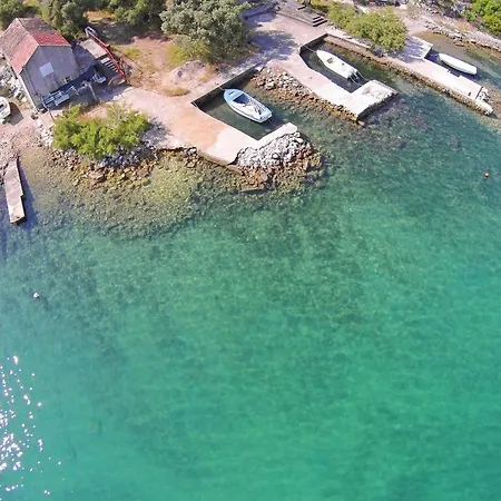 Zuronja 14095b * Putniković