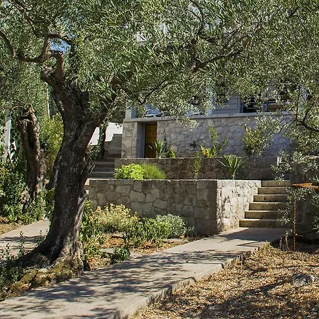 Zuronja 14095b * Putniković