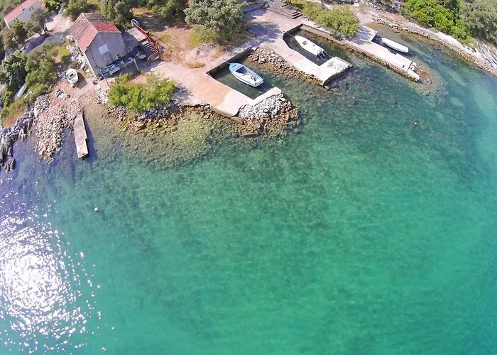 Zuronja 14095b * Putniković