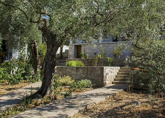 Zuronja 14095b * Putniković